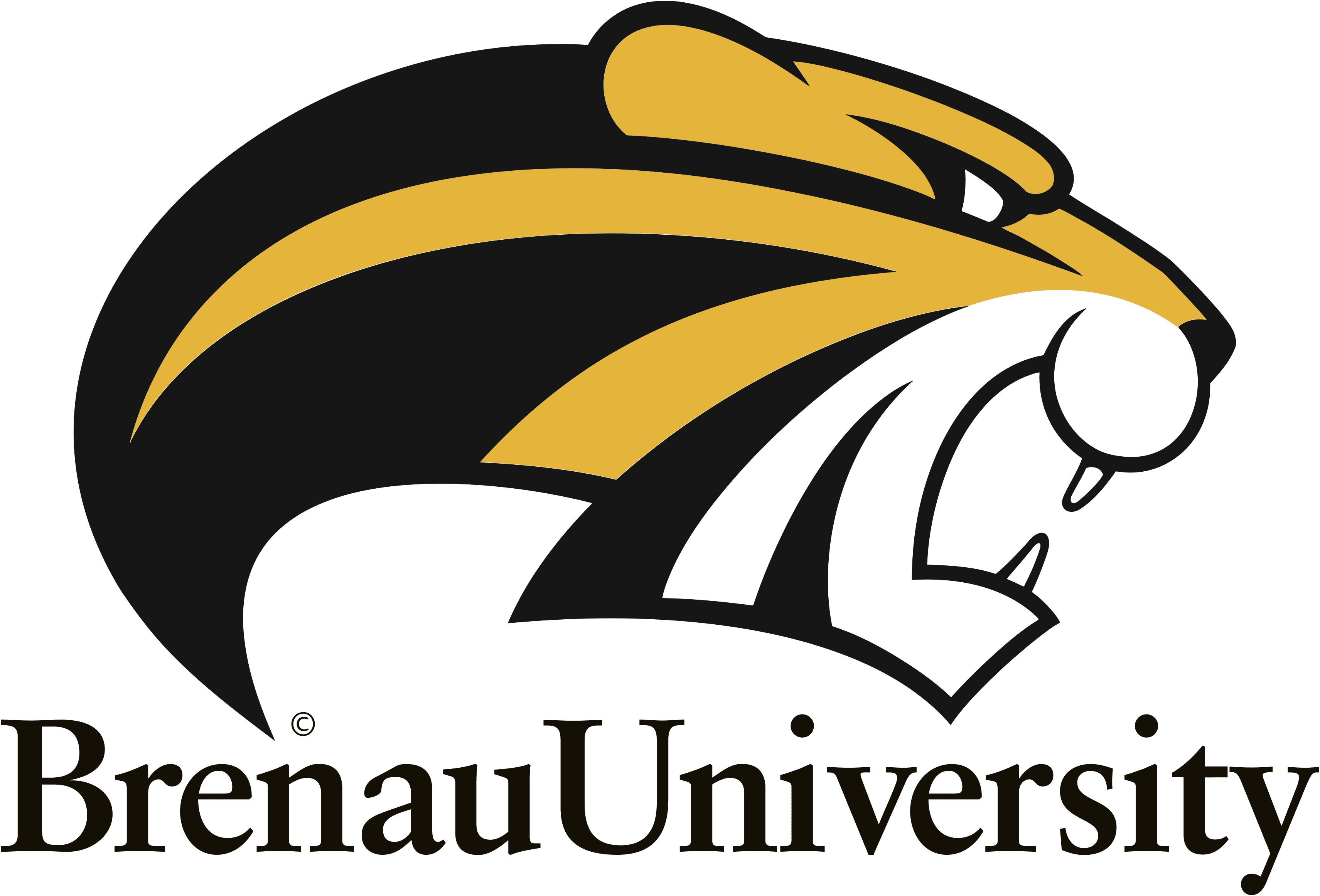 Brenau University