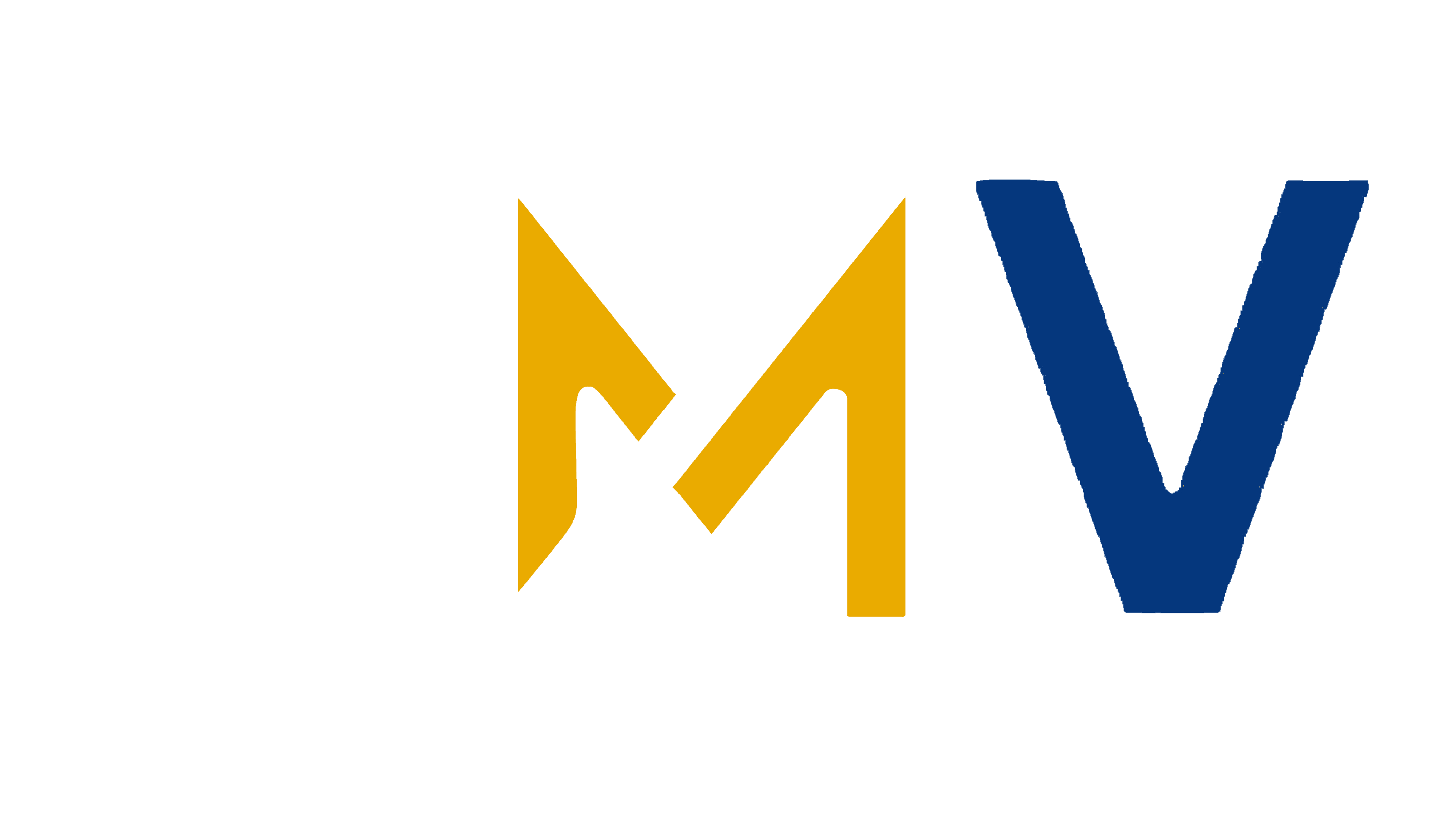 DMV Academy